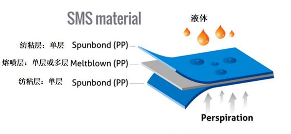 口罩SMS結構